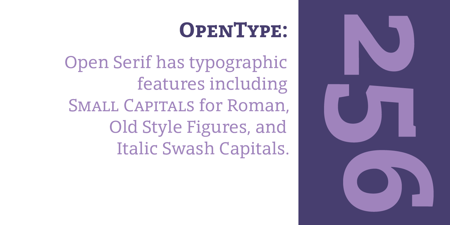Przykład czcionki Open Serif Inline
